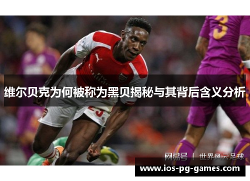 维尔贝克为何被称为黑贝揭秘与其背后含义分析